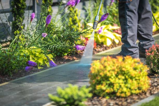 Best Animal Enclosure Cleaning  in Crestwood Village, NJ